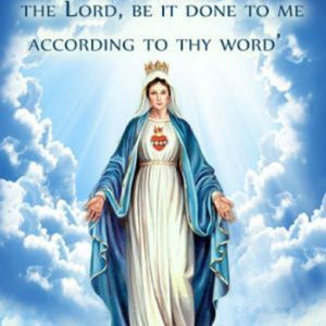 Meet your Posher, Teodora